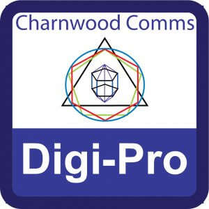Digi-Pro Digital Marketing for Your Business